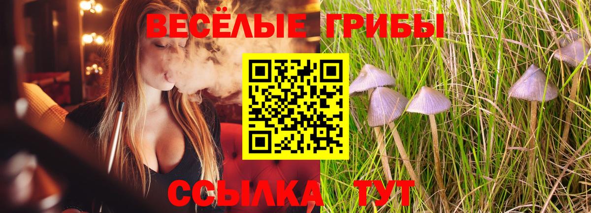 Галлюциногенные грибы Psilocybe  Галлюциногенные грибы Cubensis  Вход с VPN  Первоуральск 