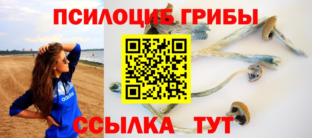 Псилоцибиновые грибы Cubensis Первоуральск
